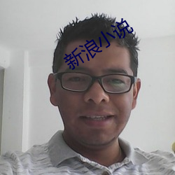 新浪小说