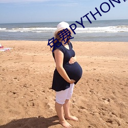 免费(f��i)PYTHON在(z��i)线(xiàn)观(gu��n)看(k��n)乱码(mǎ)