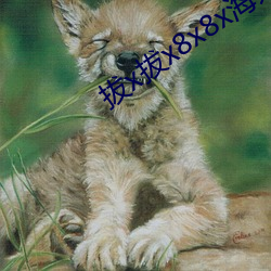 拔x拔x8x8x海外(外)华人
