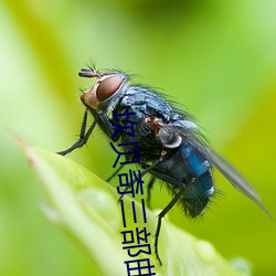 坎贝奇(奇)三部曲B站品味(味)人(人)生(附:坎贝奇个人(人)资料及拍3部(部)曲(曲)原因