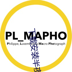 下载(載)安(安)装(裝)半夜(夜)直播(播)