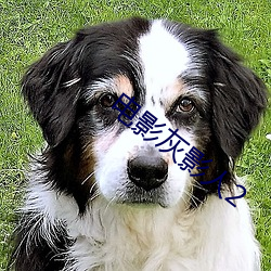 电(diàn)影灰(huī)影(yǐng)人2