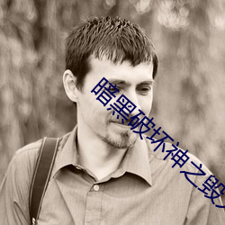 暗(暗)黑(黑)破坏神(神)之毁(毀)灭