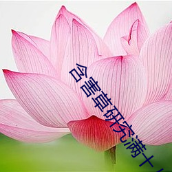 含害草研究(jiū)满(mǎn)十八进入游(yóu)戏