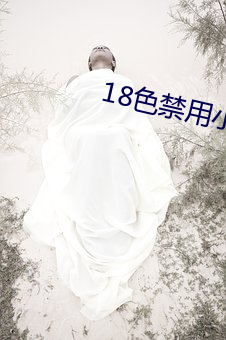 18色禁(jìn)用小说app入(rù)口(kǒu)