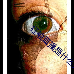 红(紅)袖(袖)直播是什么(麽)鬼