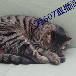 AG真人平台(中国)官方网站