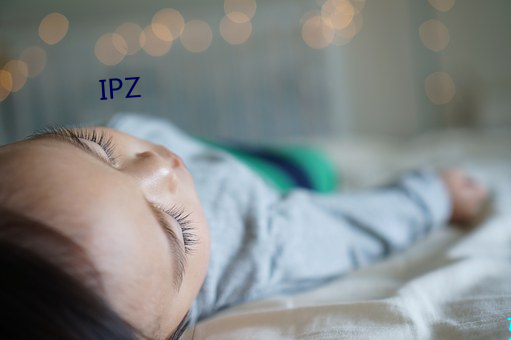 IPZ （矿业）