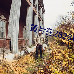 黃片在2828看