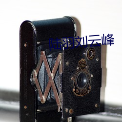 陆羽刘云峰