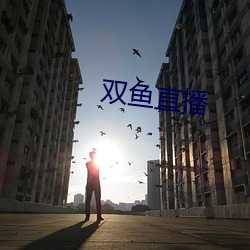 雙魚直播