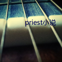 priest小说