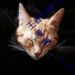 王(王)者荣耀小乔のかんげい歓迎かい会(會)是什(什)么(麽)漫(漫)画 小(小)乔的欢(歡)迎