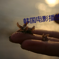 韩(韓)国电影播(播)放器