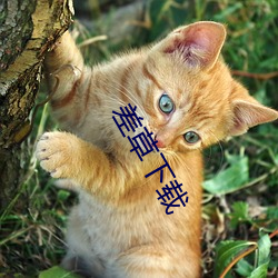 差草下(xià)载