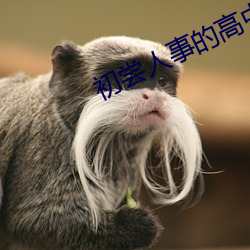 初尝人事的高中生 （鉴空衡平）