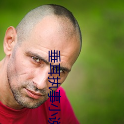 垂耳执事小说 （古往今来）