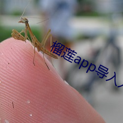 榴(榴)莲app导入入口(口)