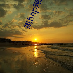 高hnp辣文(wén)