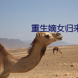 重生(生)嫡(嫡)女归(歸)来