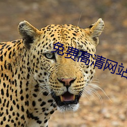 免費高清網站