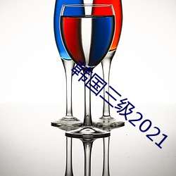 韩国三级2021