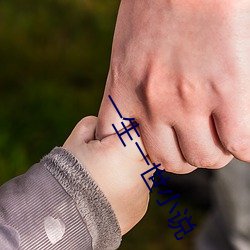 一生一(yī)世(shì)小说
