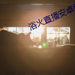 浴火直播安卓版 （疏放）