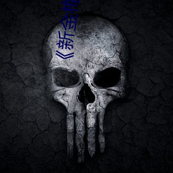 《新金梅瓶龚玥菲版》