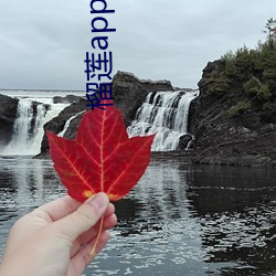 918博天堂·(中国)手机版客户端