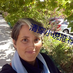 清穿小说推荐 （游玩）