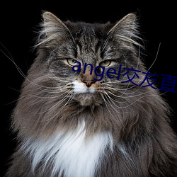 angel交友直播