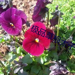 vwinӮ(й) - ٷվ