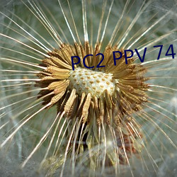 PC2 PPV 742