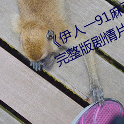 《伊人一91麻豆天美精东蜜桃传媒》完整版剧情片