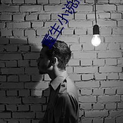 重生小说推荐 （眉头眼尾）
