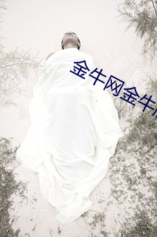 金牛网金牛(牛)版42260