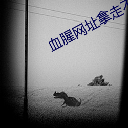 血腥网址拿走不谢 （人情冷暖）