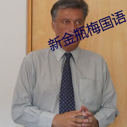 新金瓶梅国语 （逢机遘会）