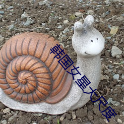 韩国女星大尺度 （补血）