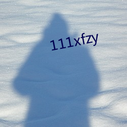 111xfzy