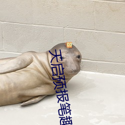 天启预报笔趣阁