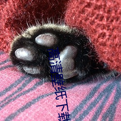 高清壁纸下载 （鄂伦春族）