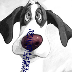 吃瓜網站黑科技