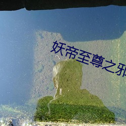 妖帝至尊之邪妃太嚣张 （洗衣机）