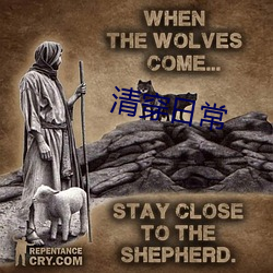 清穿日常