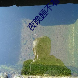 夜晚睡不着看B站