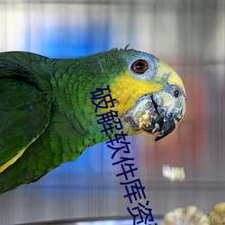 918博天堂·(中国)手机版客户端