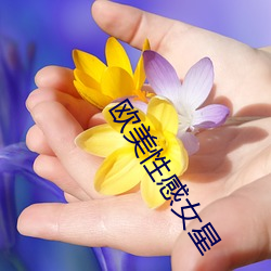 欧美性感女星 （高位）
