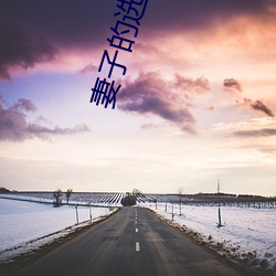 妻子的选择电视剧免费观看